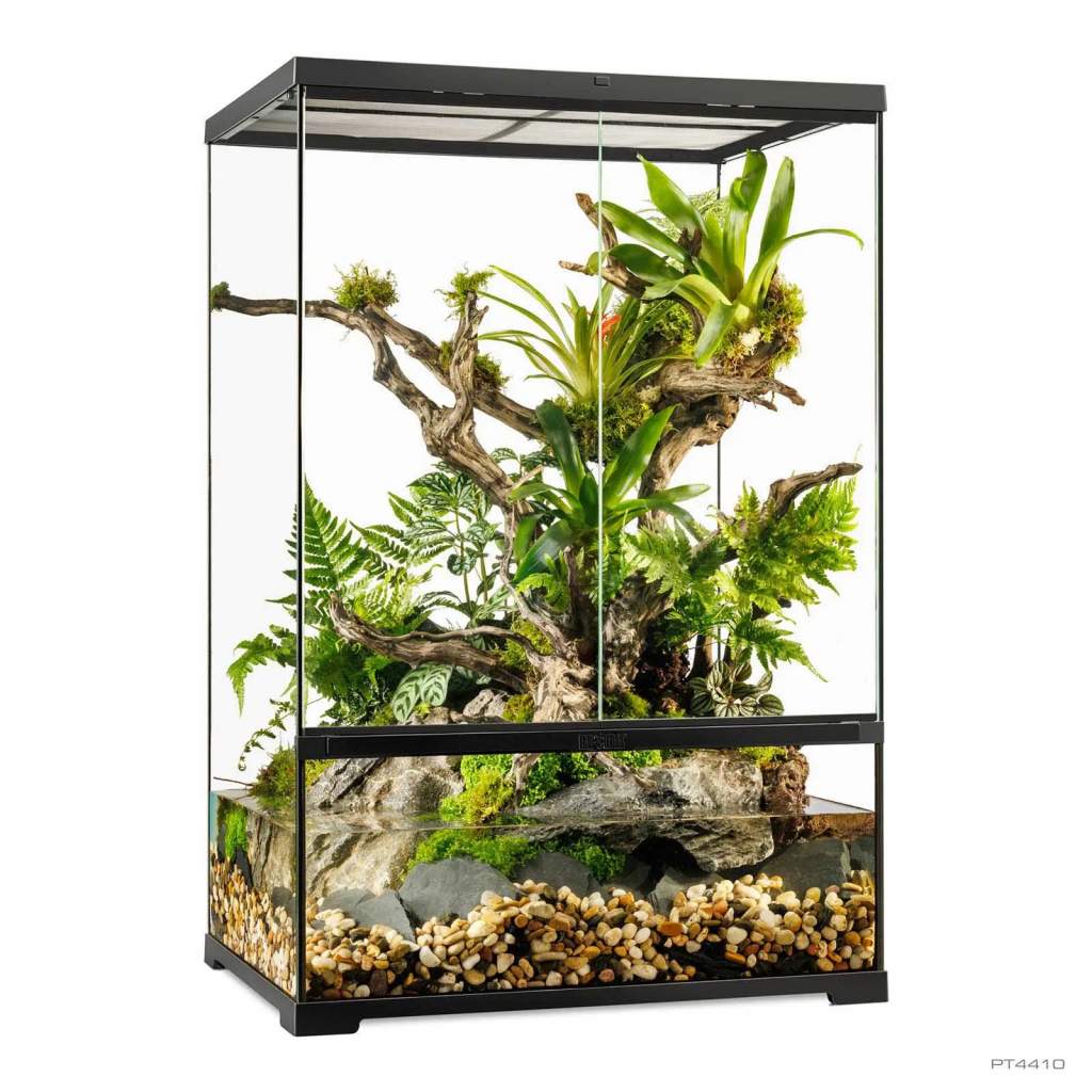 Pro Paludarium